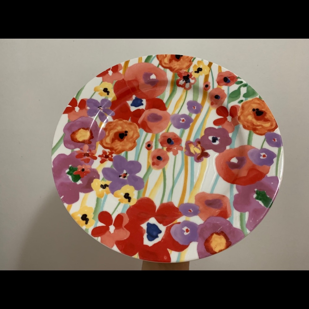 Like new full Anthropologie dish set!